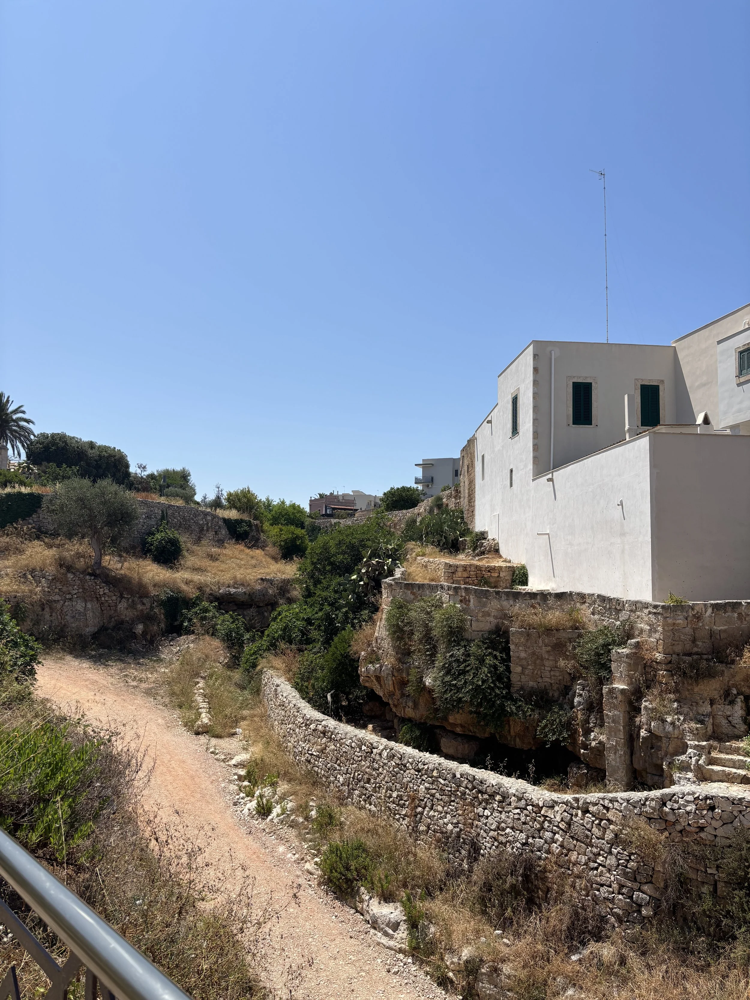 IMG_9433.jpeg
