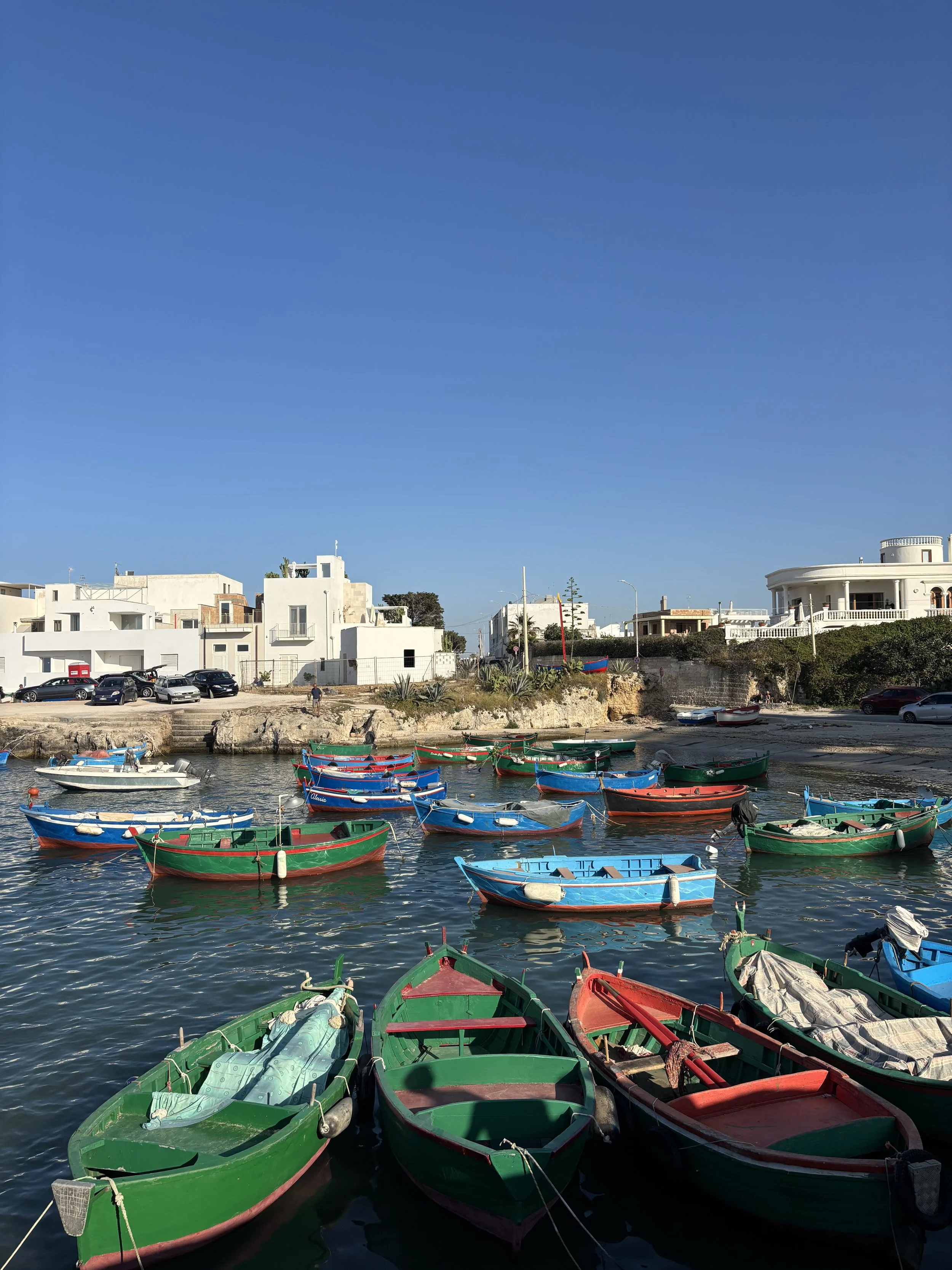 IMG_9456.jpeg