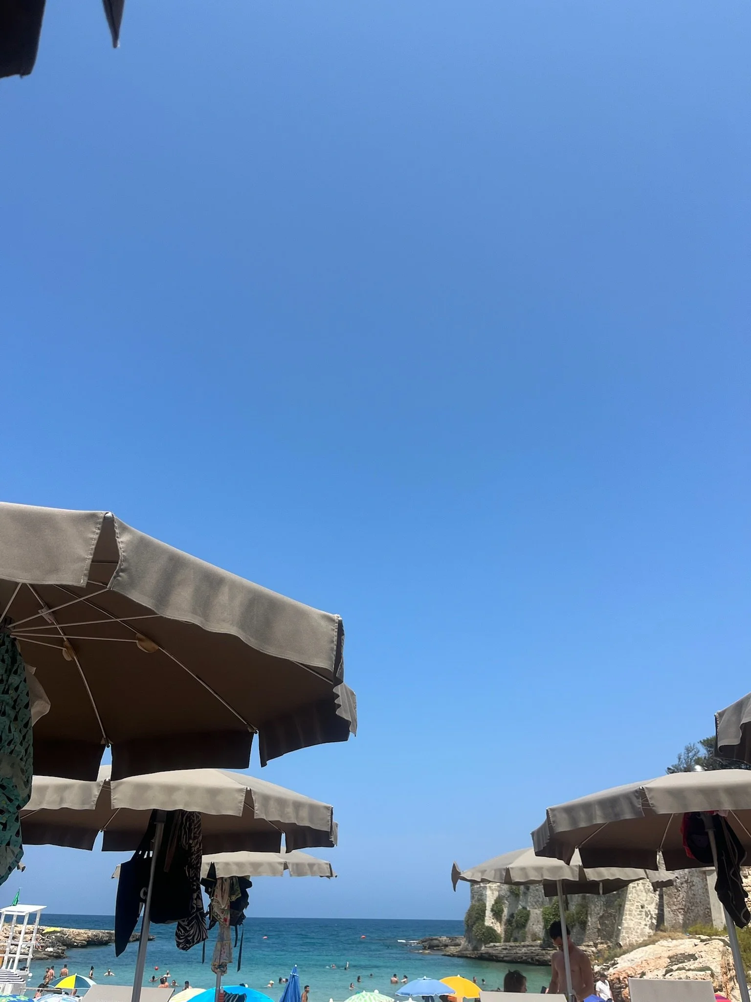 IMG_6677.jpeg