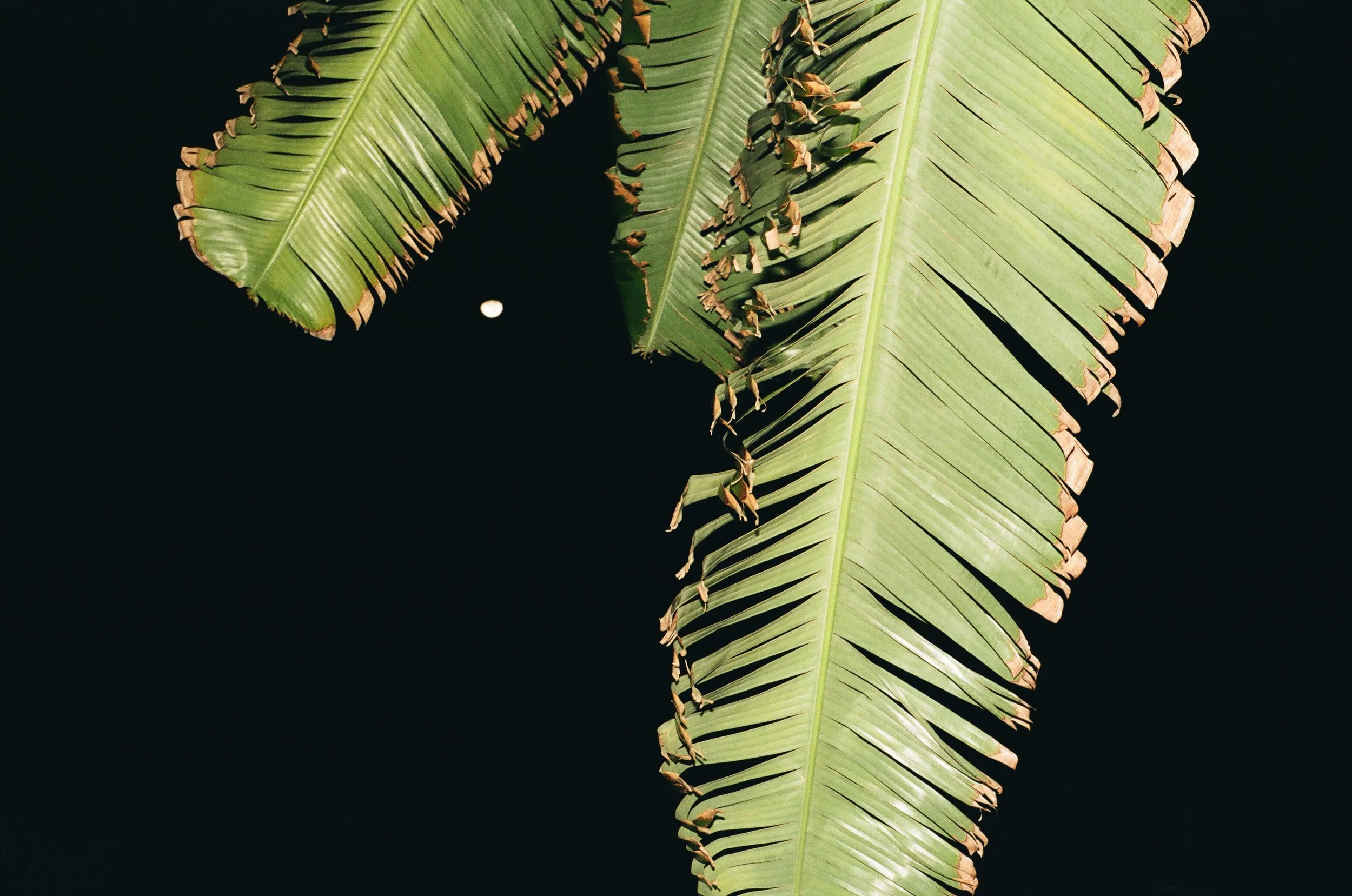 04160023.jpg