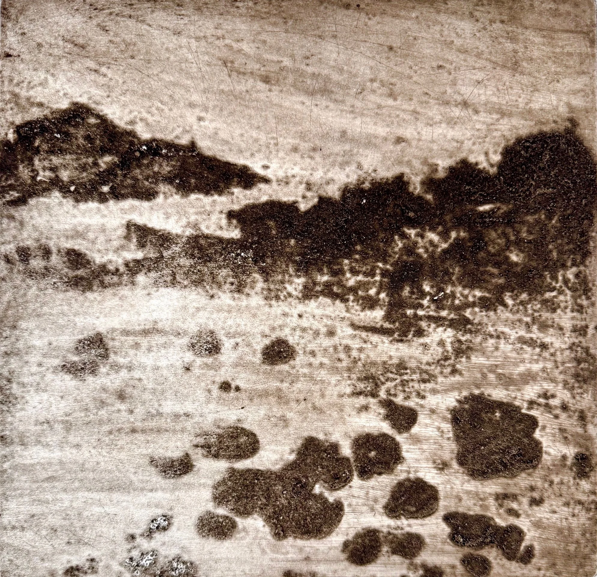 Stepping Stones Series