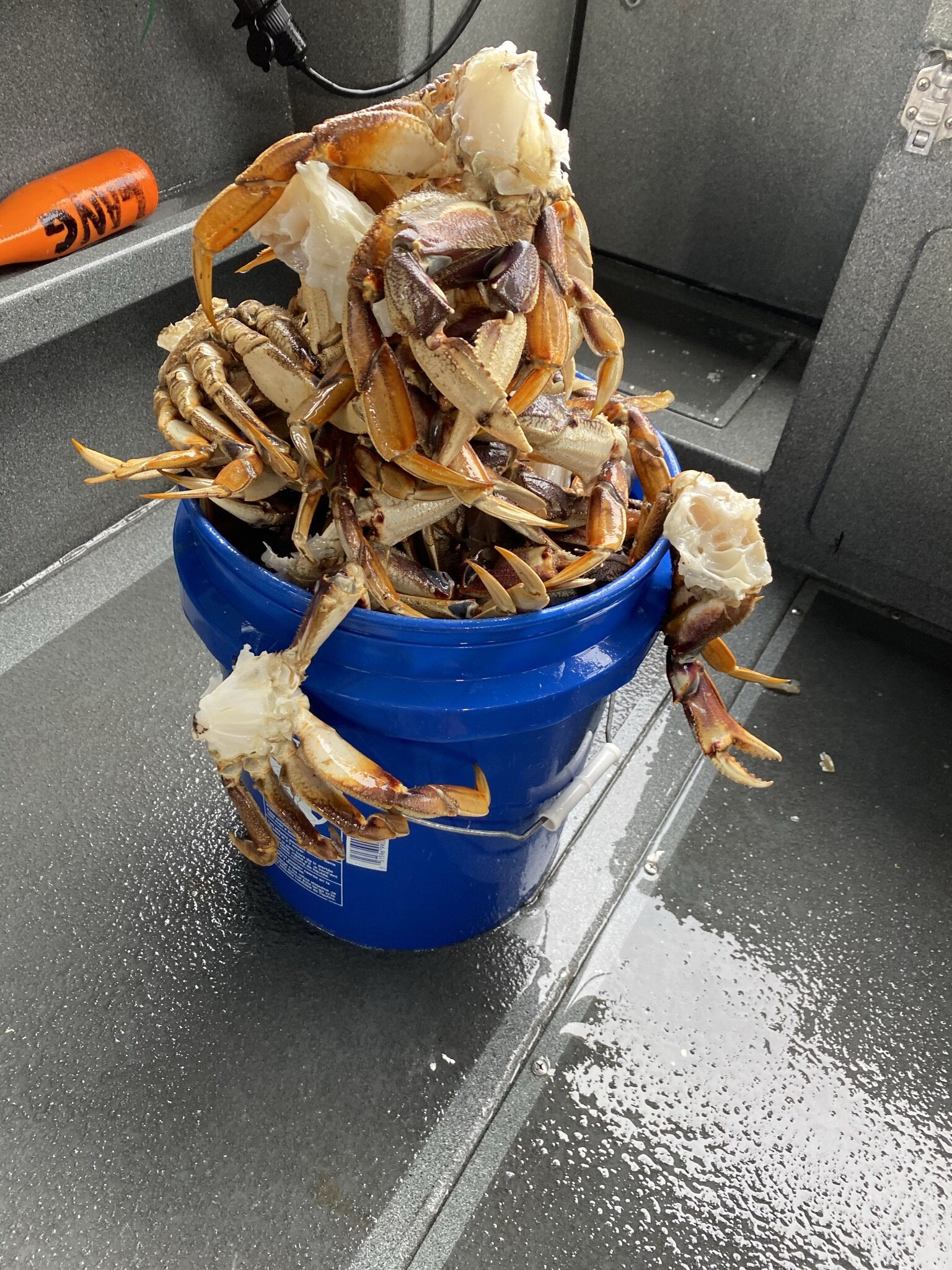 Home Ruby D. Charters Fishing Charters Edmonds, WA