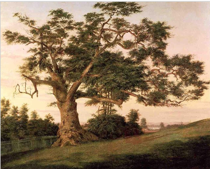 The Charter Oak , oil on canvas, Charles De Wolf Brownell, 1857. Wadsworth Atheneum