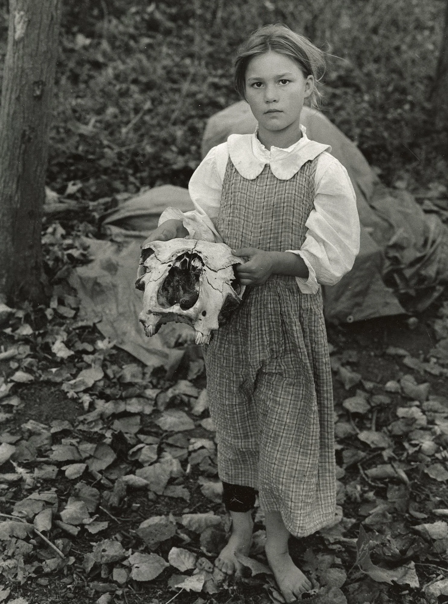 Beitler05.jpg