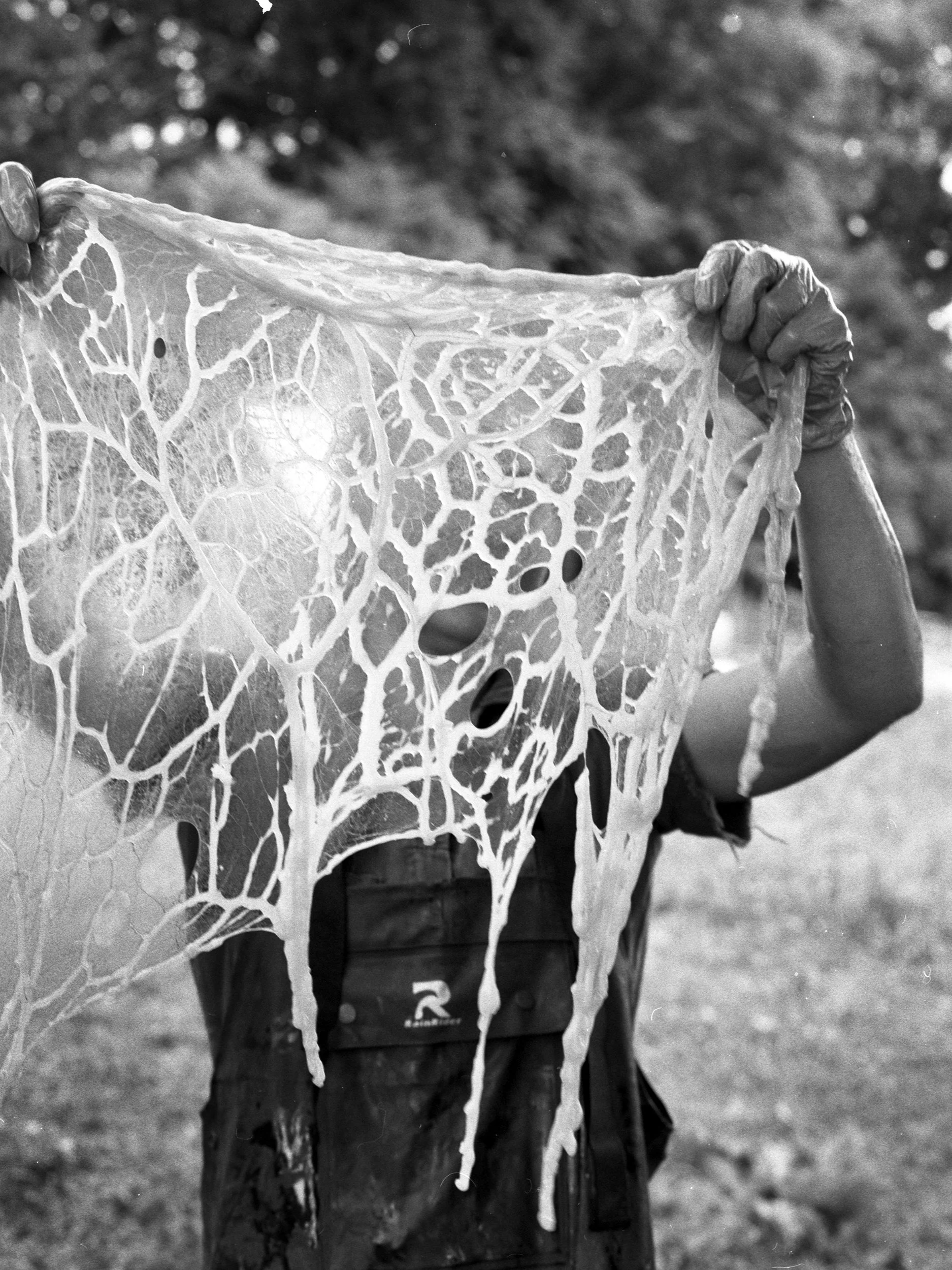 02_Pig Lace.jpg