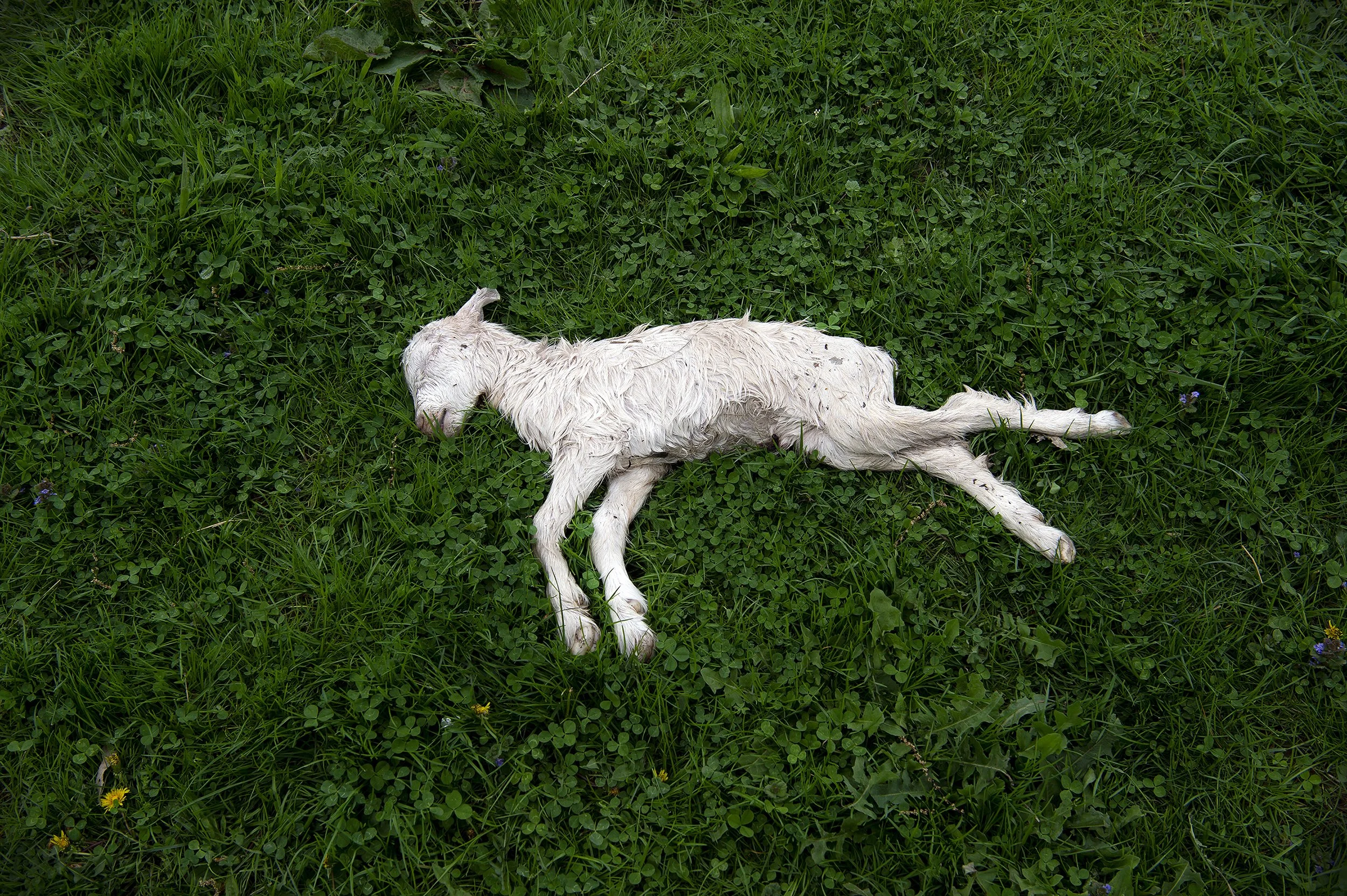 07_DSC_5078.jpg