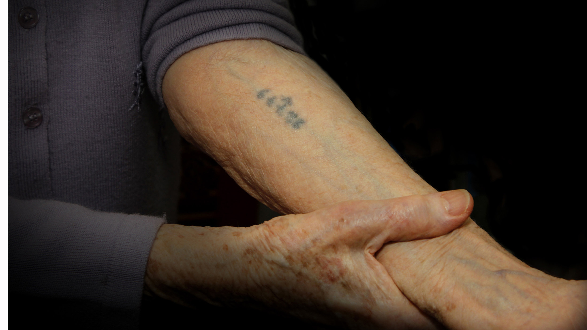 Blue Tattoo — Holocaust Resource Center of Buffalo