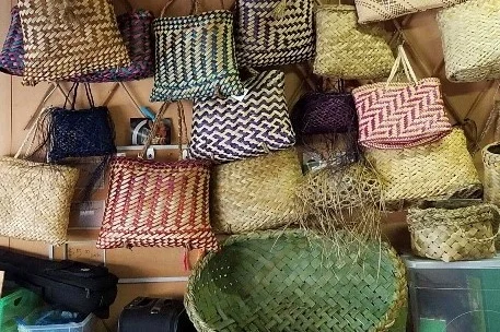 AKO ZONE: Weaving with Joy Wikitera Wednesday 28 August | 10AM – 1PM Weaver in residence for the day, Joy Wikitera will take people through the basics of collecting, harvesting, preparing and processing Harakeke and discussing its many uses by Māori, and will finish with a demonstration and workshop on making a small kete or Harakeke kono (container).