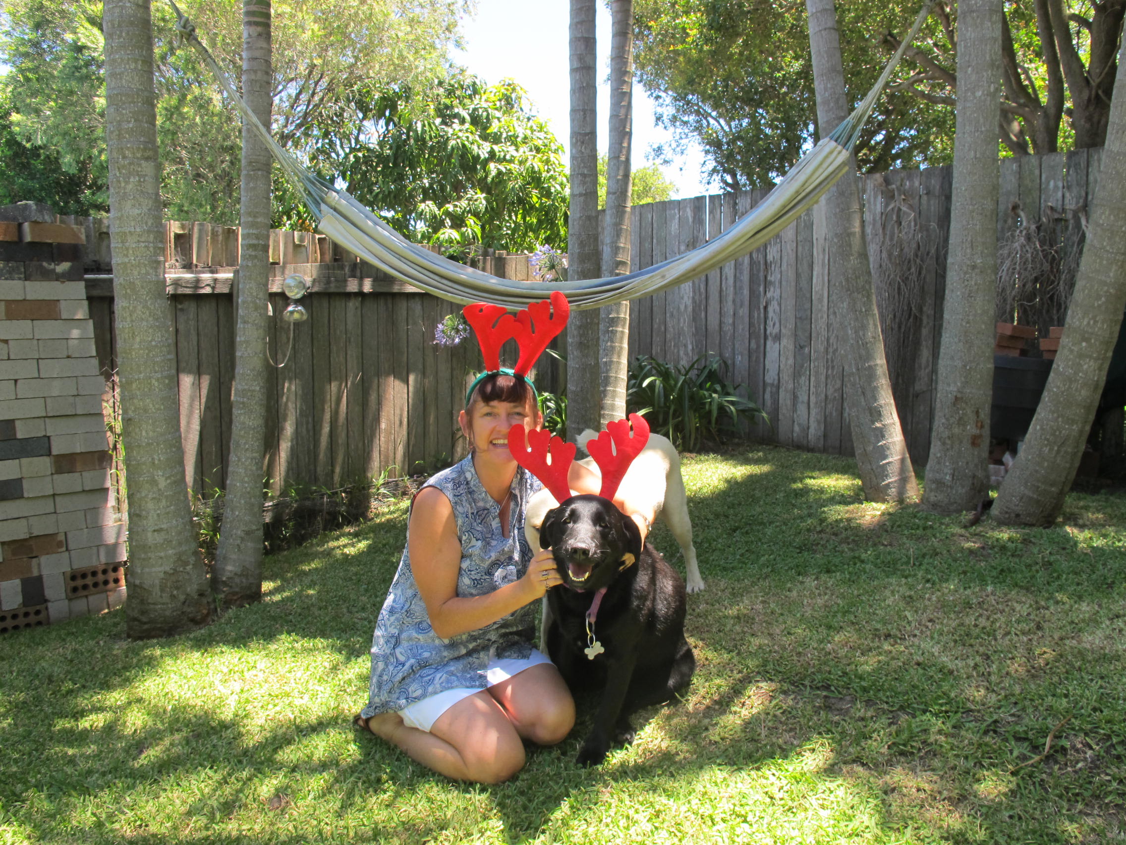 All About Pet Care_B&B & me with Raindeer.jpg
