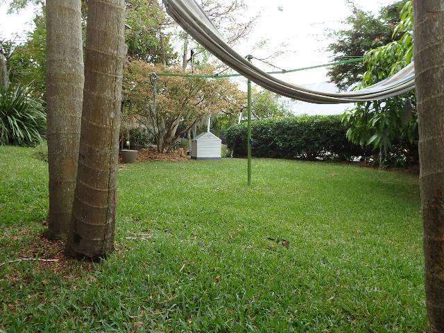 Garden & Hammock Net.JPG