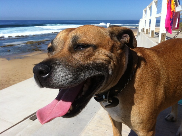 Max at Merewether.JPG