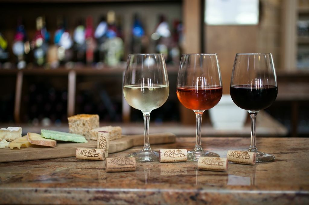 Wine Tasting 3.jpg