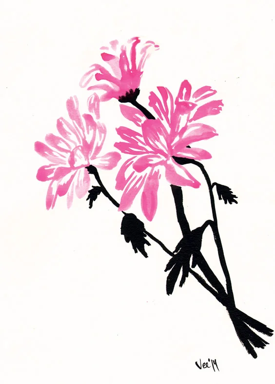 Pink Daisies