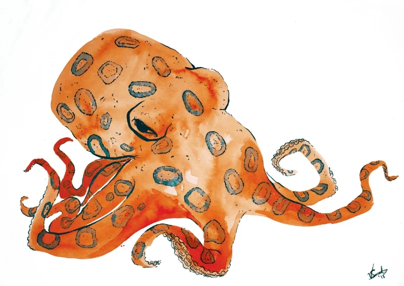 Blue Ringed Octopod -Vanessa Sweet