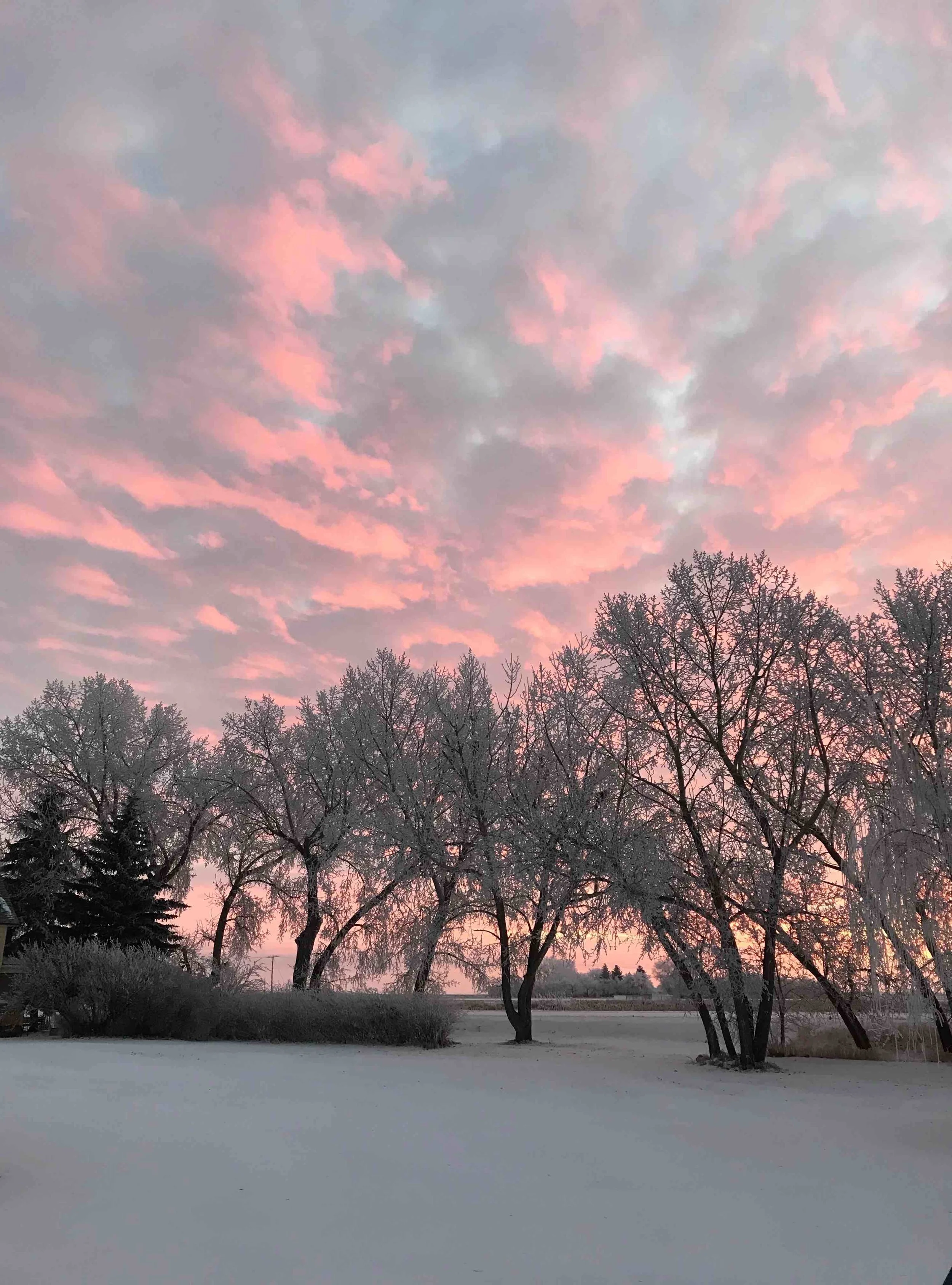Saskatchewan.jpg