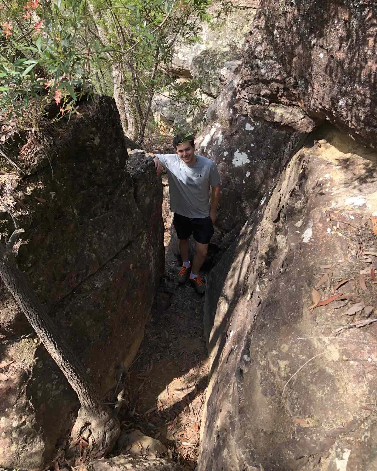 Bush Walk.jpg