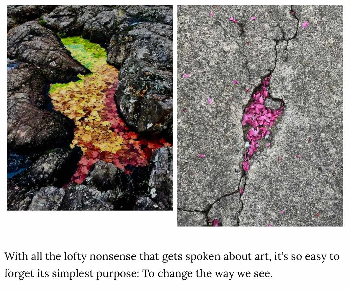 Austin Kleon cracks in sidewalk.jpg