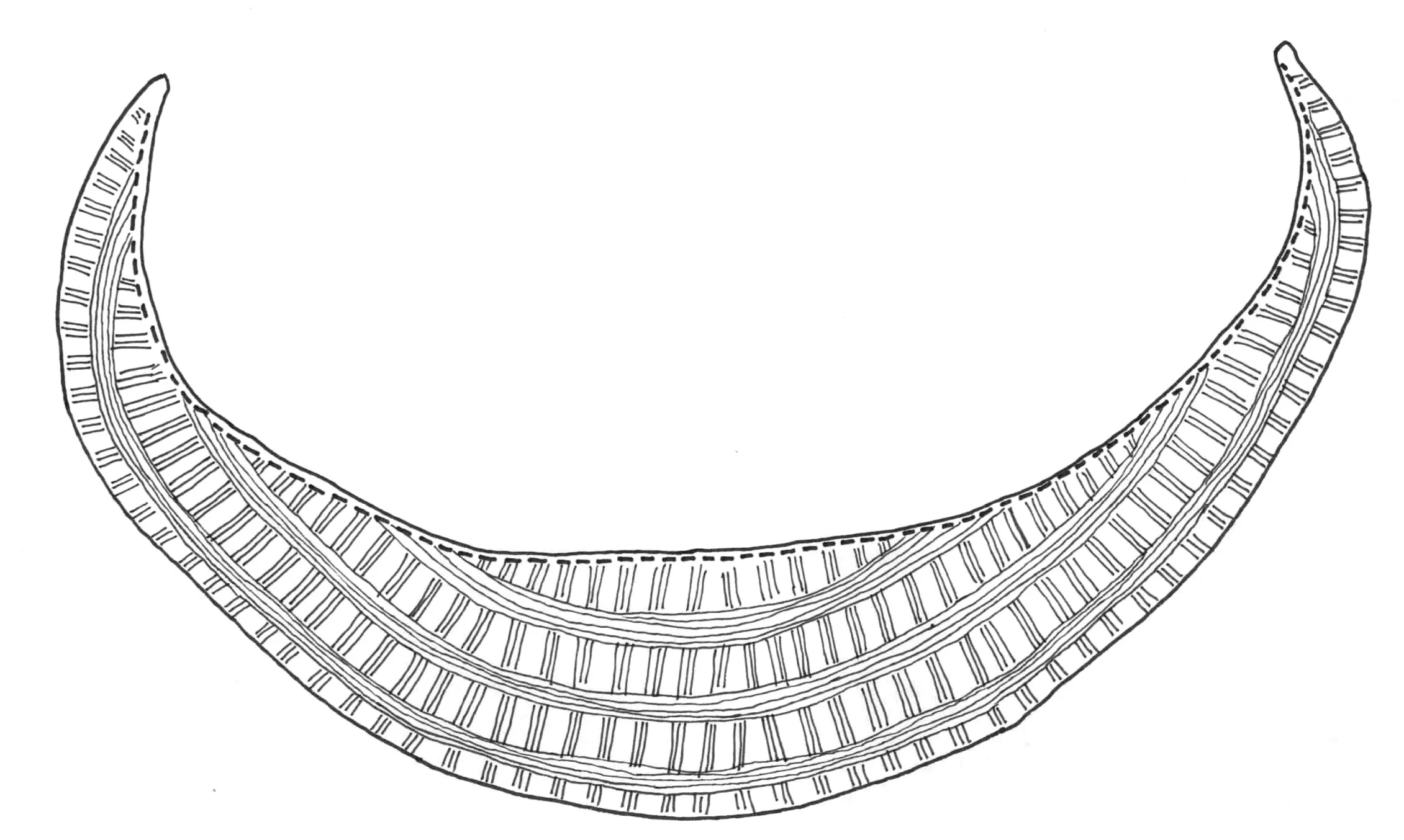 Rattan.jpg