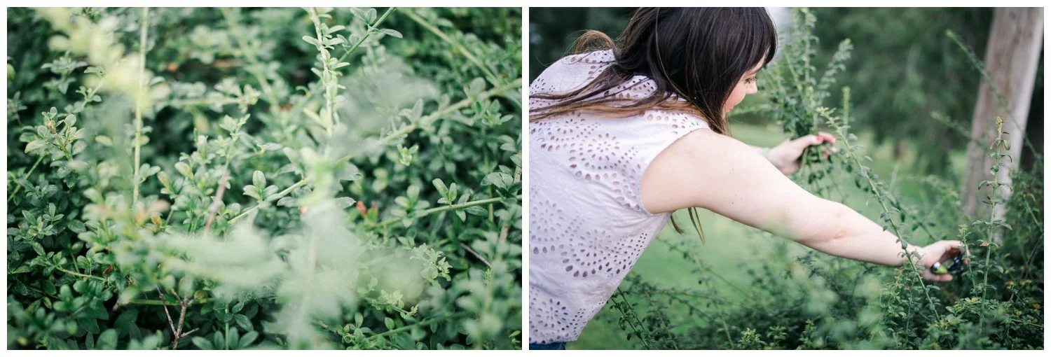 floral foraging_lubbock wedding stylists_052.jpg