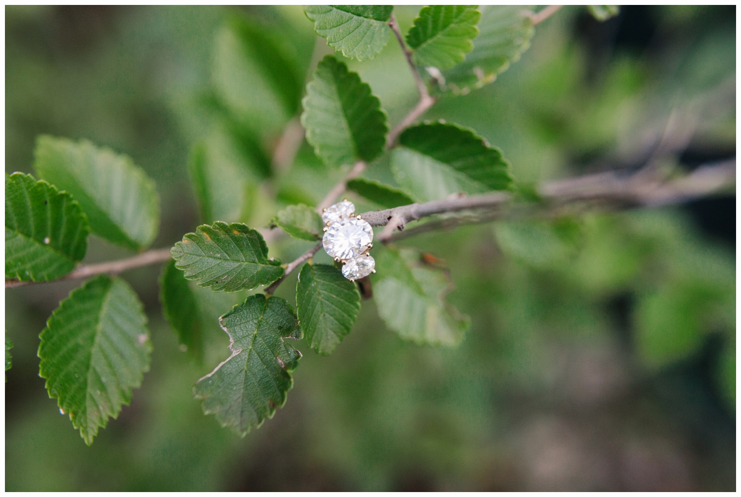 texas proposal engagement photoshoot_040.jpg