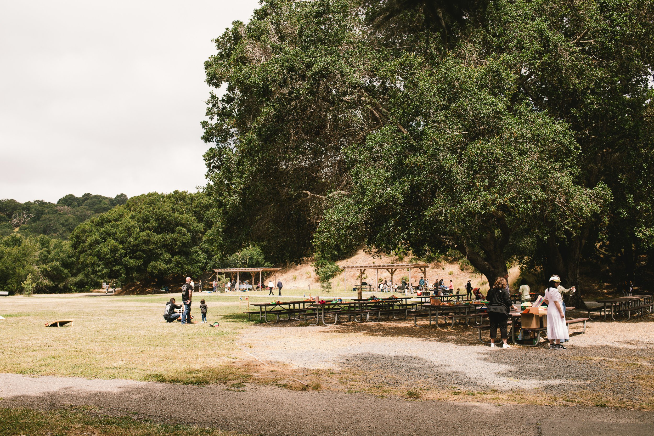 2023BMMpicnic-13.jpg
