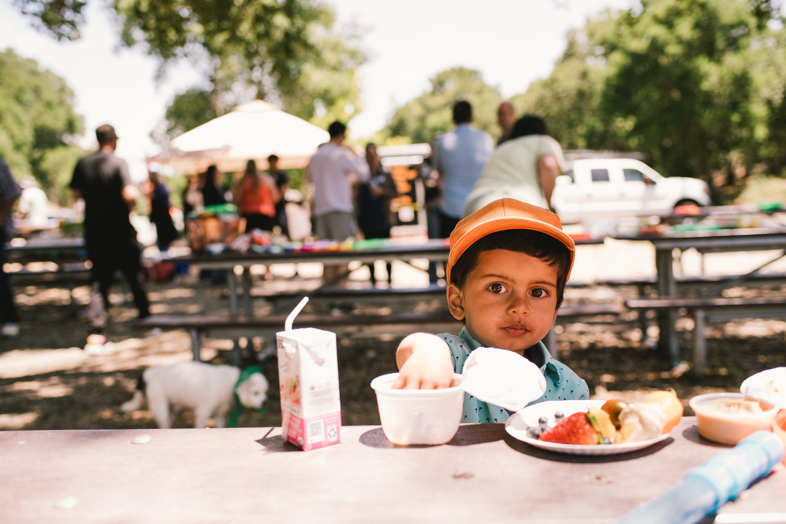 2023BMMpicnic-106.jpg