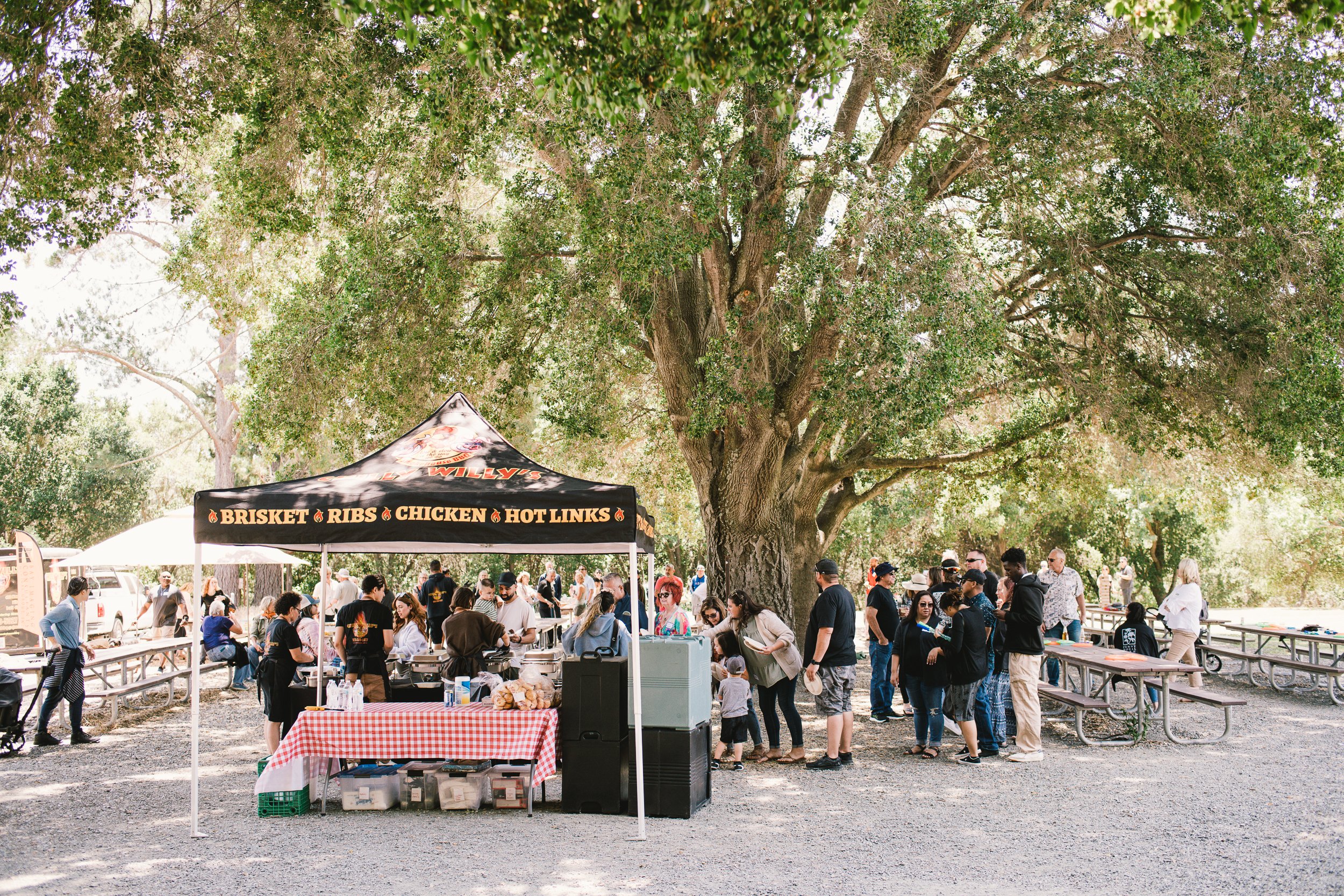 2023BMMpicnic-124.jpg