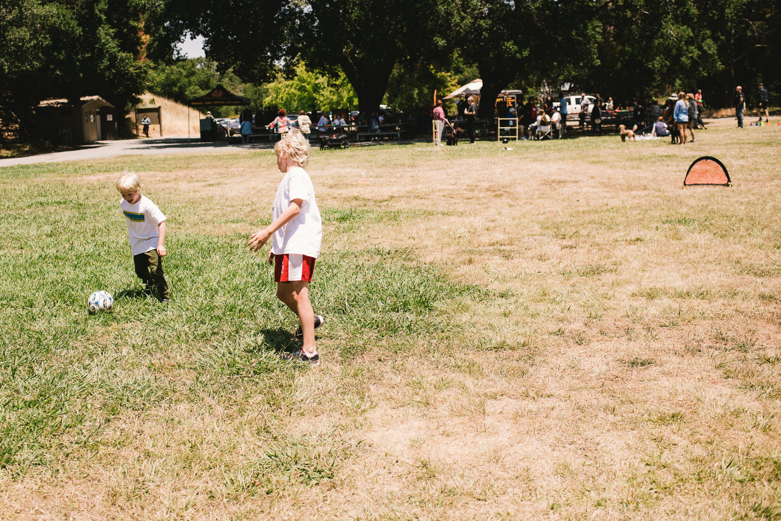 2023BMMpicnic-171.jpg