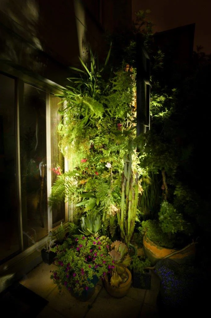 Lit up at night