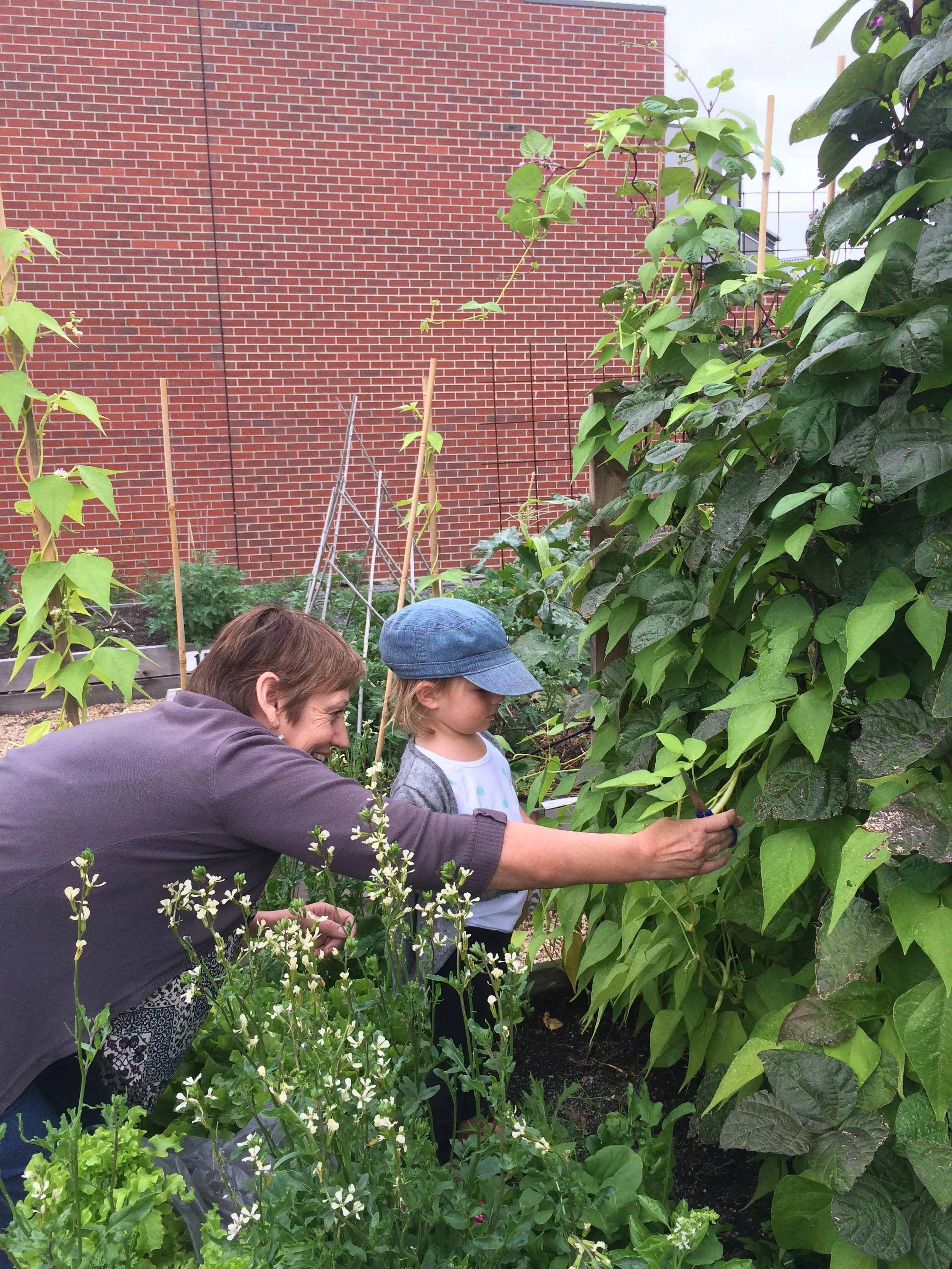 Sue Tale and grand daughter Sunni at Maris's community garden plot