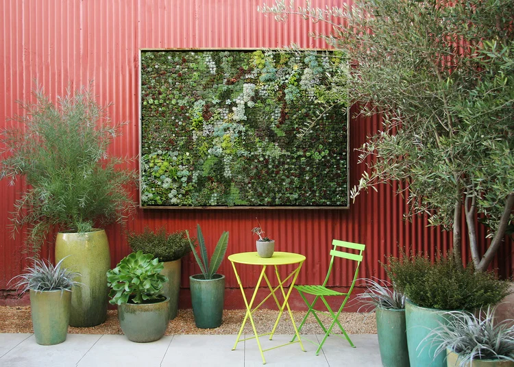 Delicate succulent mosaic