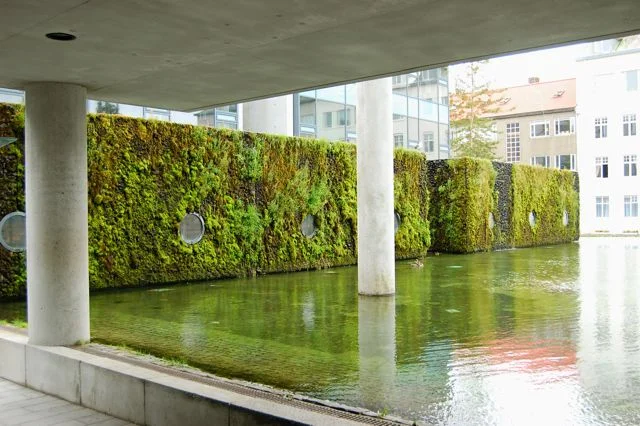Reykjavik Public Library moss garden