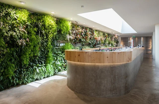 Beautiful bar