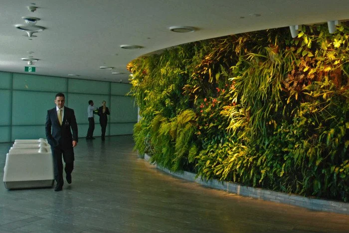 Green reception