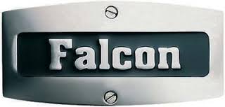 Falcon Logo.jpg