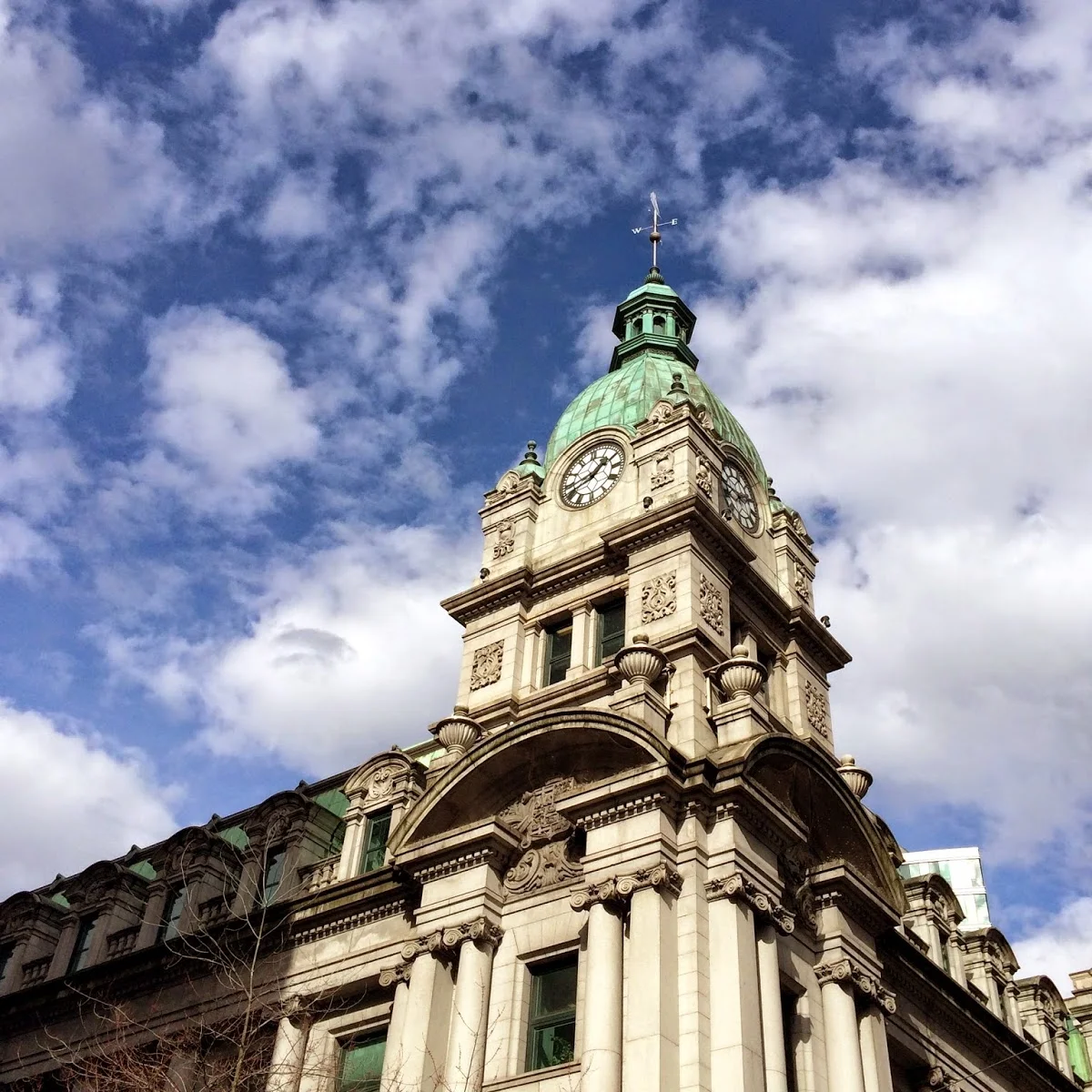 Trip to the Homeland