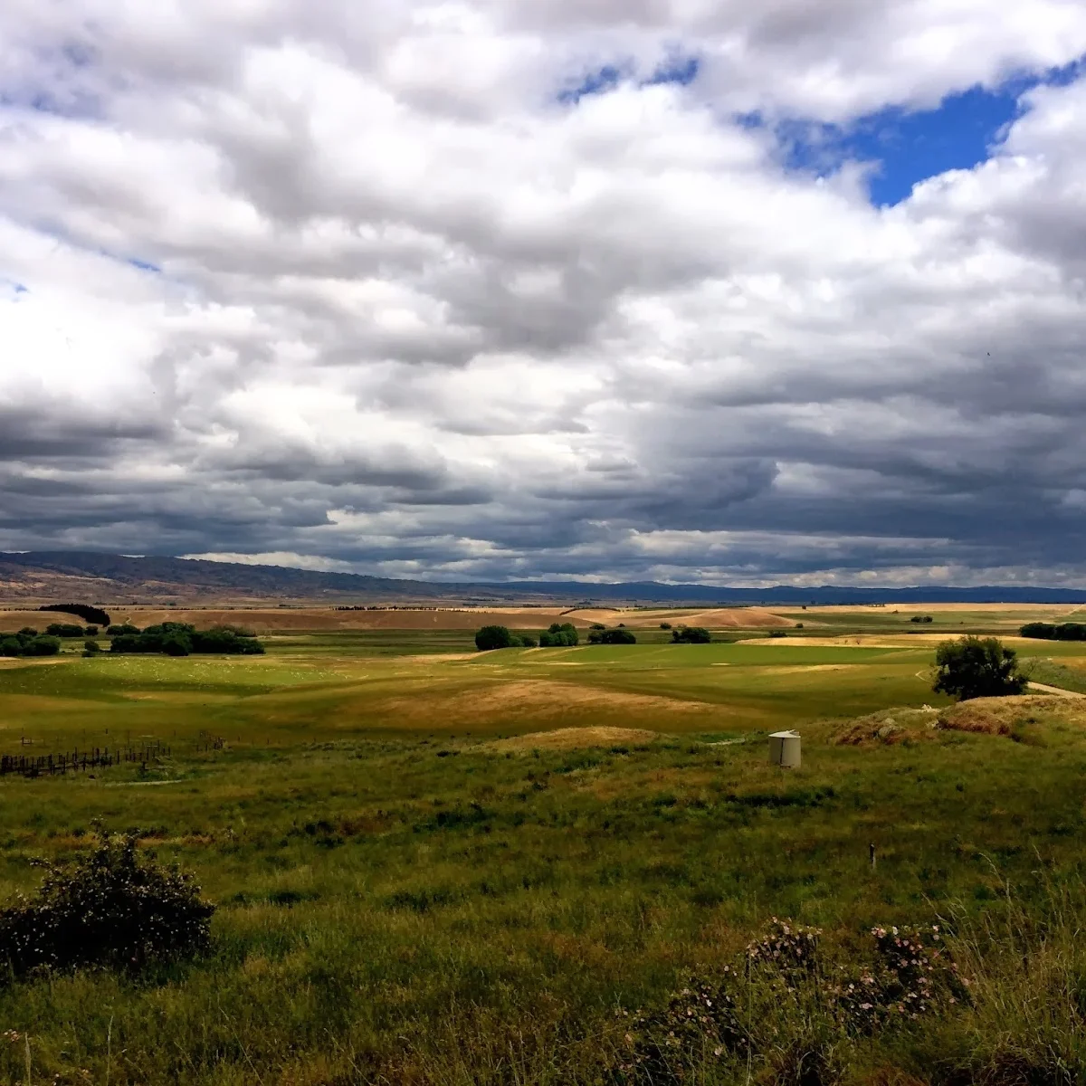 Wedderburn and Christchurch