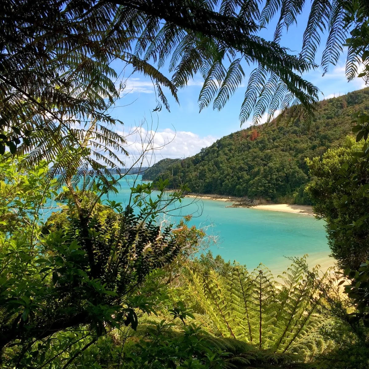 Abel Tasman and Punakaiki