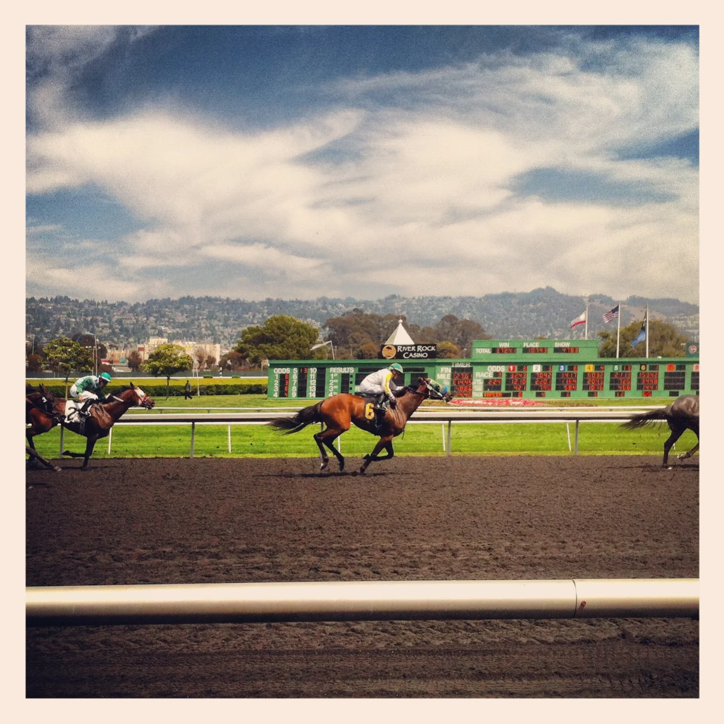 #8 Bet at a horse race