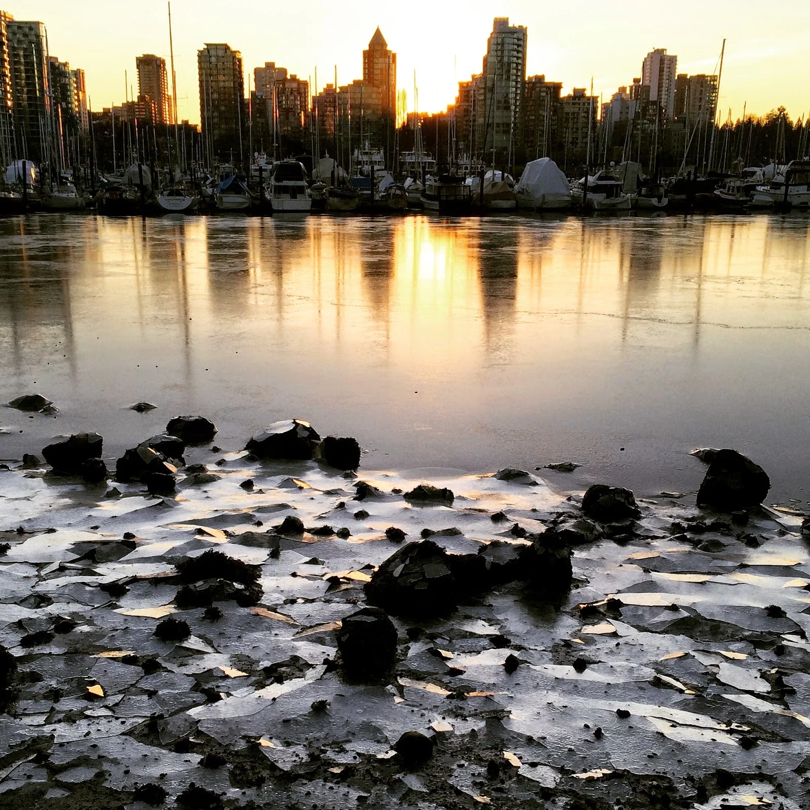 Christmas in the homeland