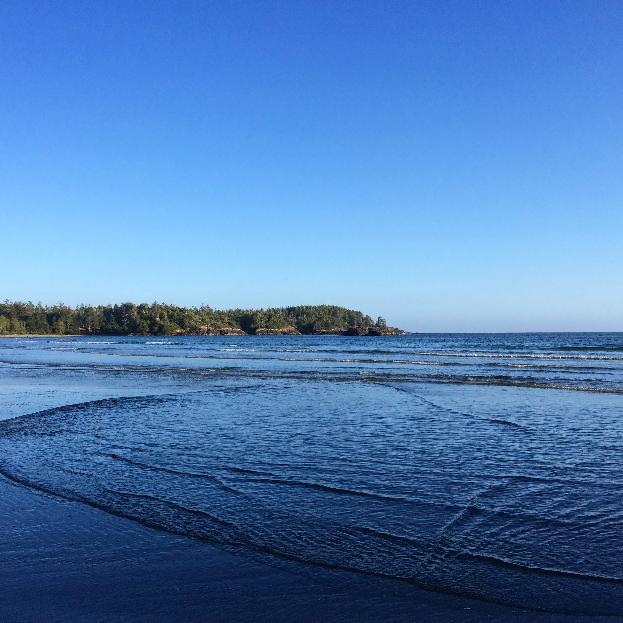 Tofino