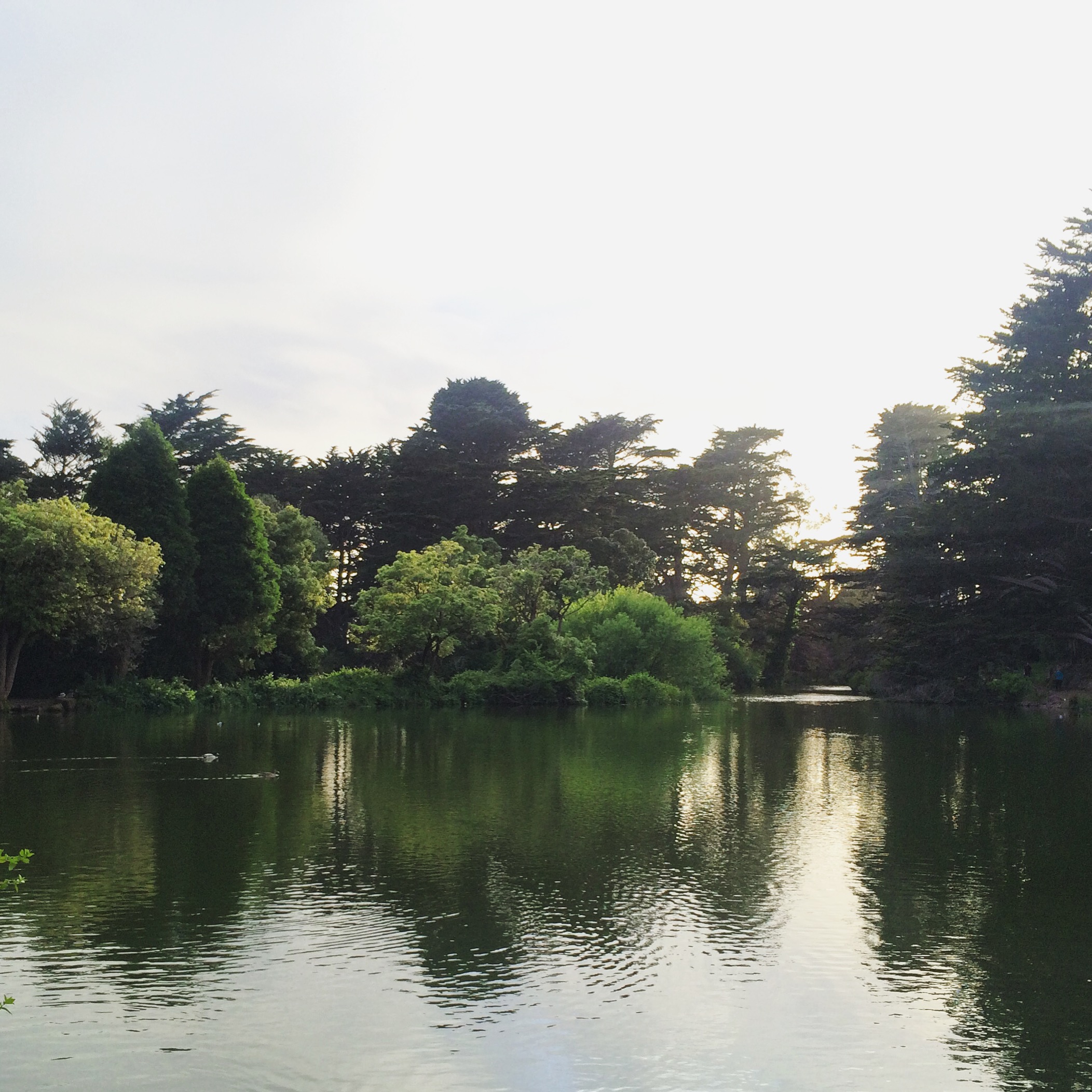 GG Park Stow Lake