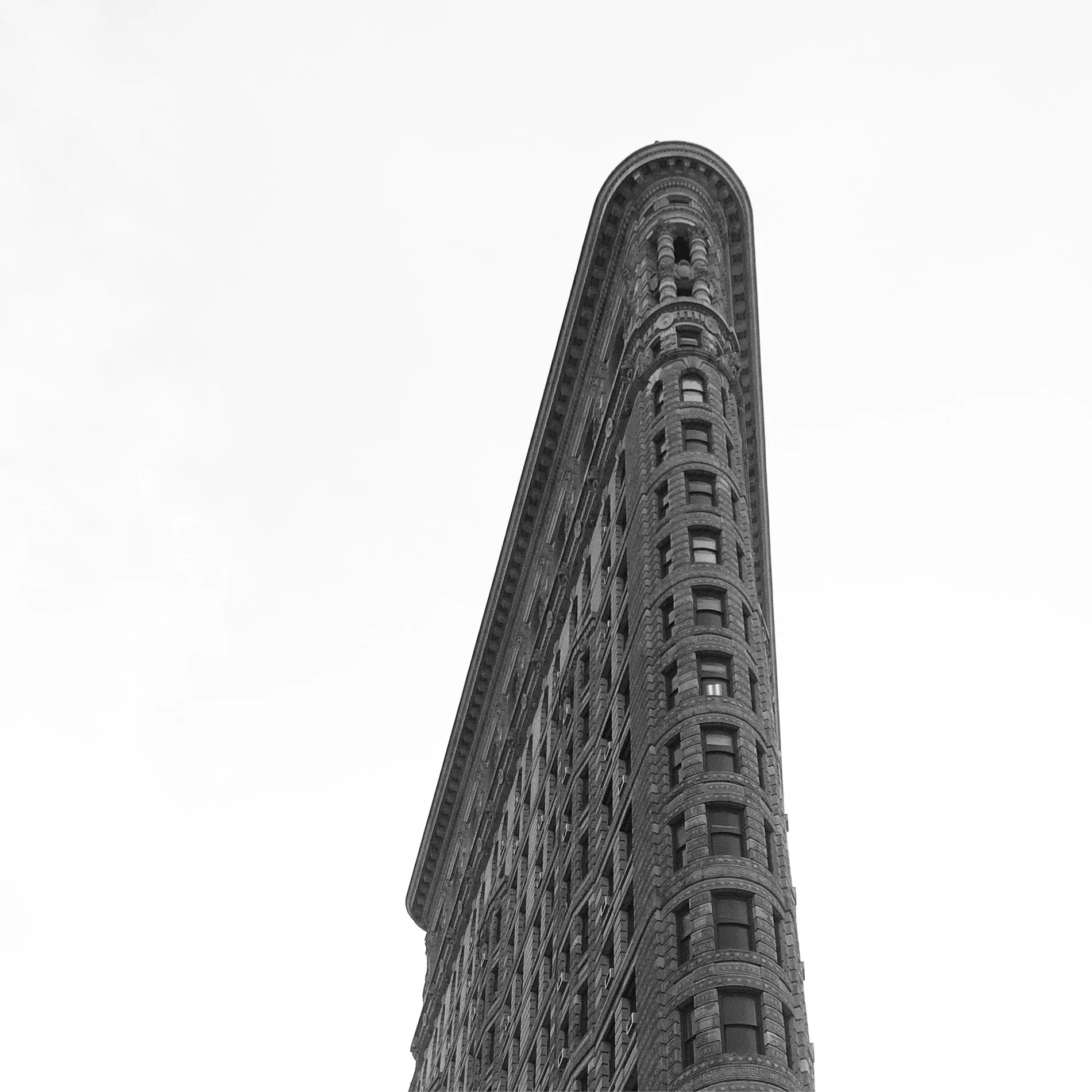 IMG_6539.jpg