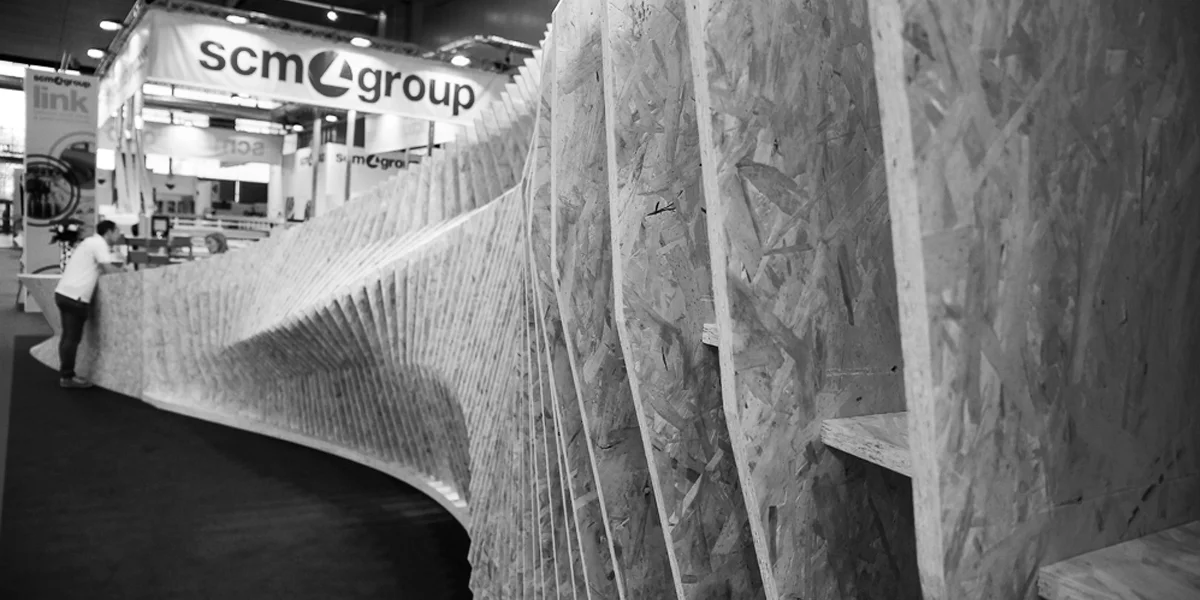 DSC04552 - bw.jpg
