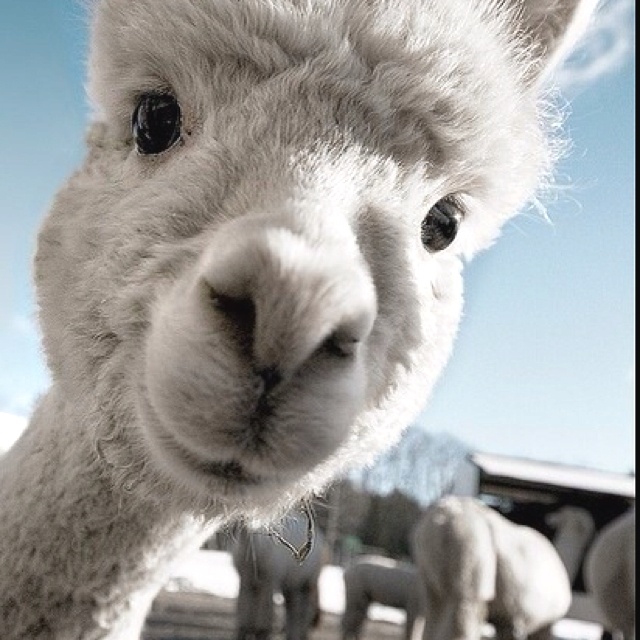 Hello!!!!!!!!!!!!