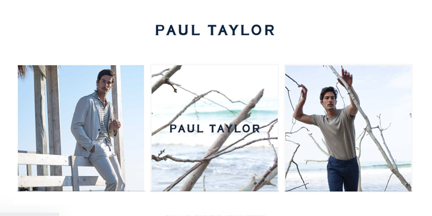 banner paul taylor 02.jpg