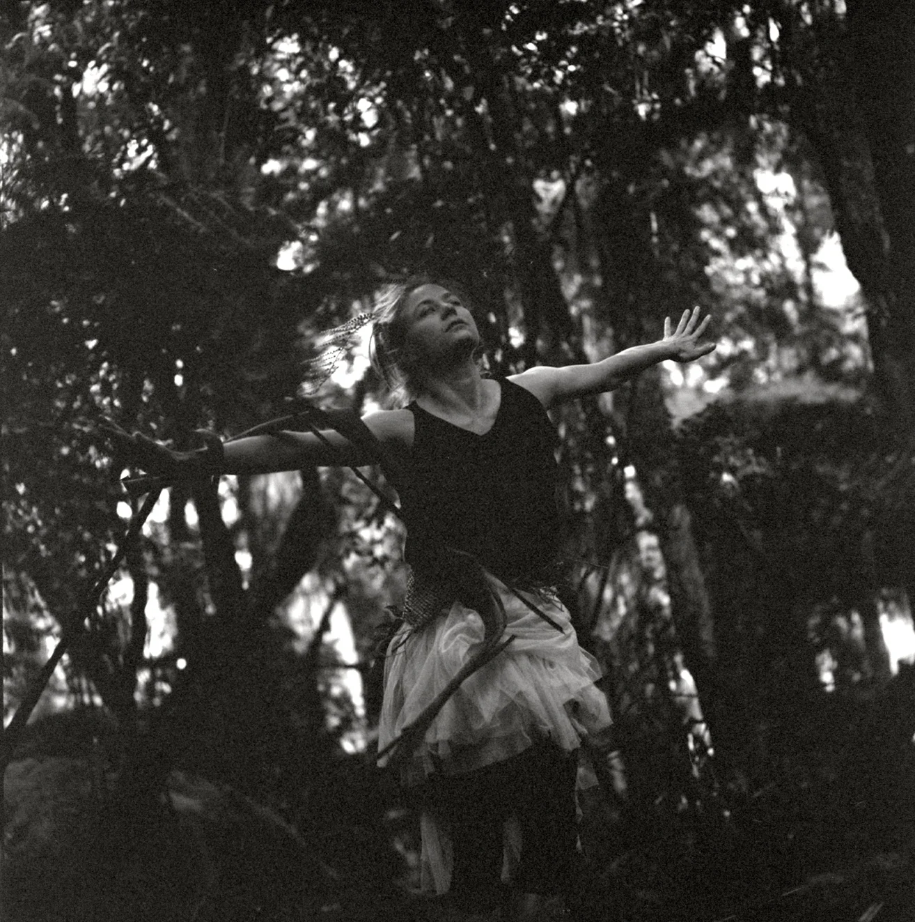 Immersion, Heart of the Forest