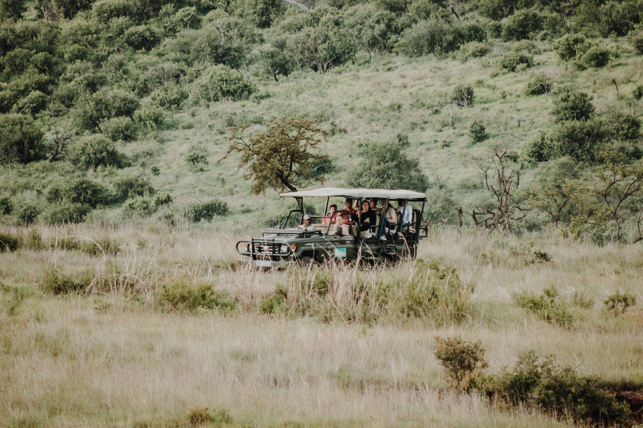 Family safari .jpg