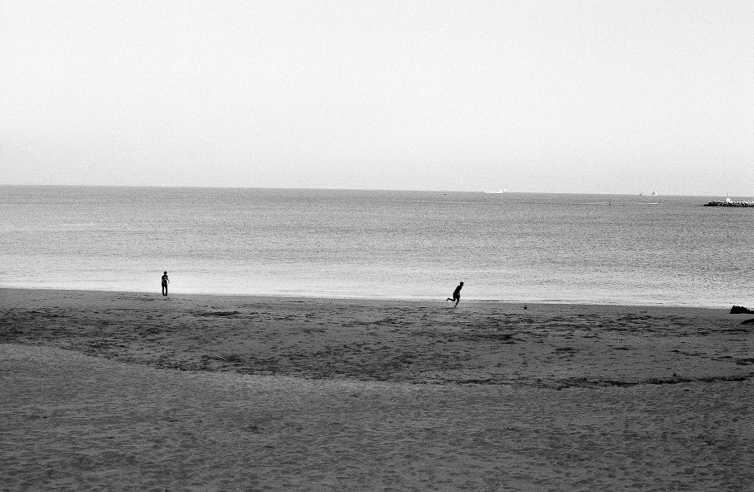 bw1_905.png