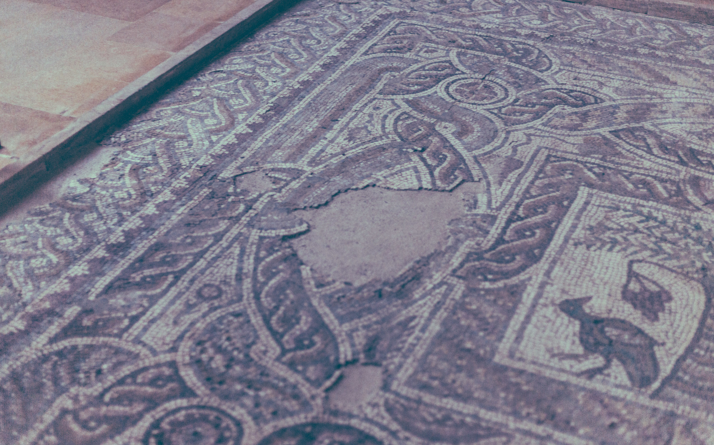The National Museum is one of the best in the world, with entire mosaics from Byblos.